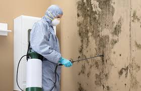 Best Forensic Mold Investigation in Port Morris, NJ